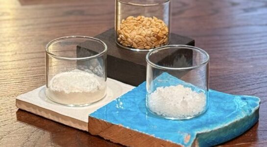 RACCONTI DAL GAGINI – EPISODIO 2: Il potere dei dettagli